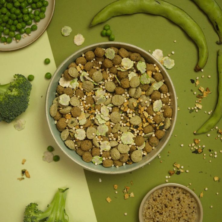 Omni's Plant-Based Dog Food: A Dragon's Den Success Story Omni's Plant-Based Dog Food: A Dragon's Den Success Story