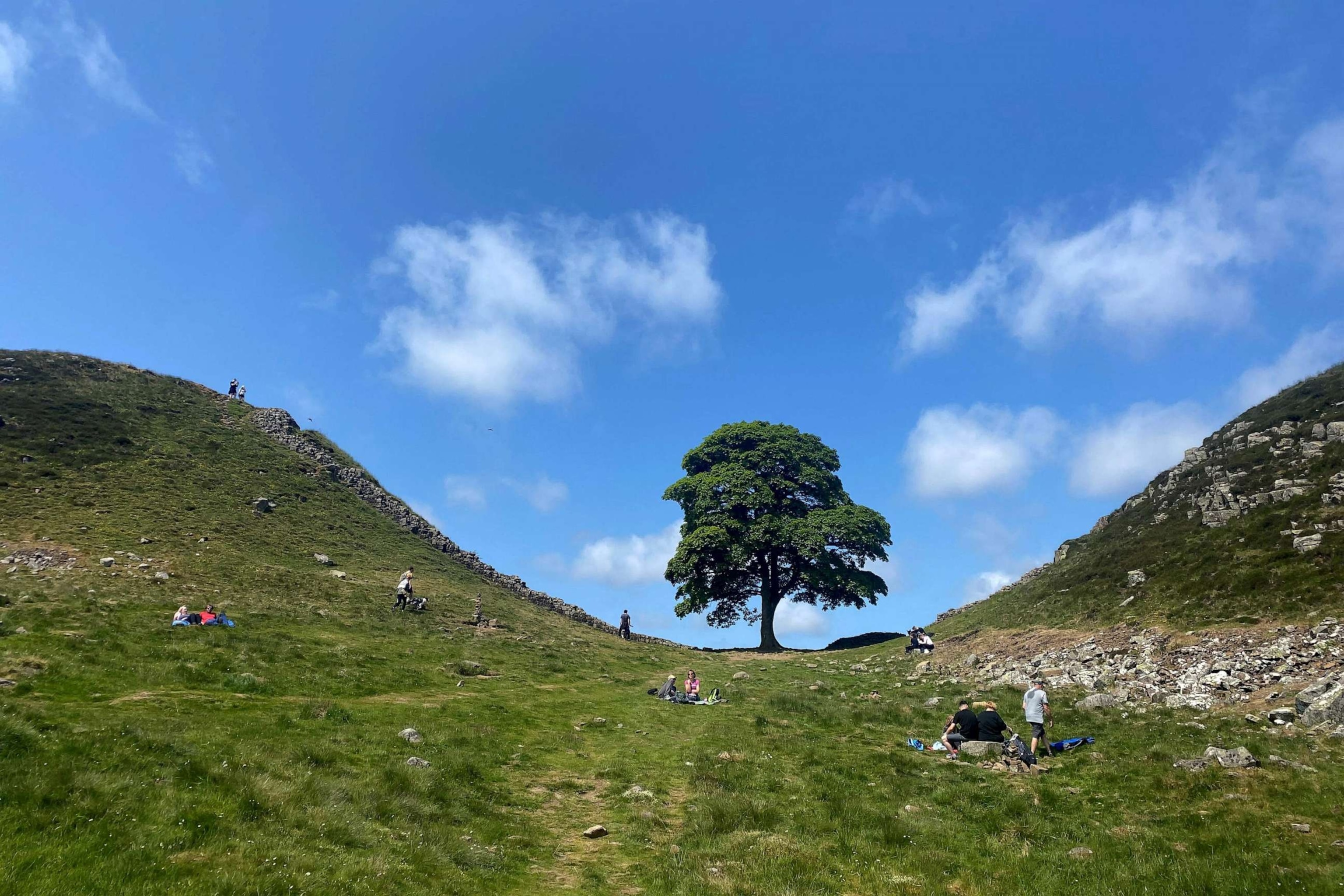 Pair Jailed For Destruction Of Famous Sycamore Gap Tree Pair Jailed For Destruction Of Famous Sycamore Gap Tree