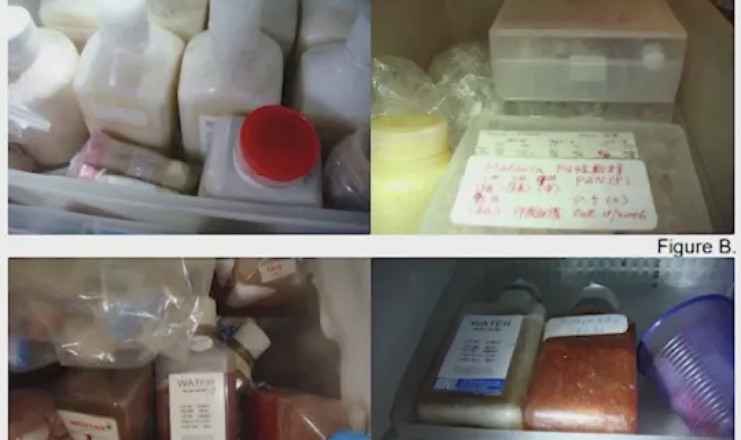 Pandemic Fraud: Lab Owner's Guilty Plea On COVID Test Results Pandemic Fraud: Lab Owner's Guilty Plea On COVID Test Results
