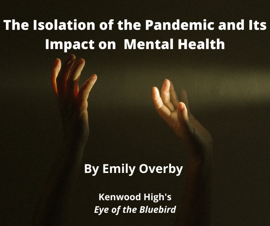 Pandemic Isolation: How Seattle's Green Spaces Provided Refuge For One Woman Pandemic Isolation: How Seattle's Green Spaces Provided Refuge For One Woman
