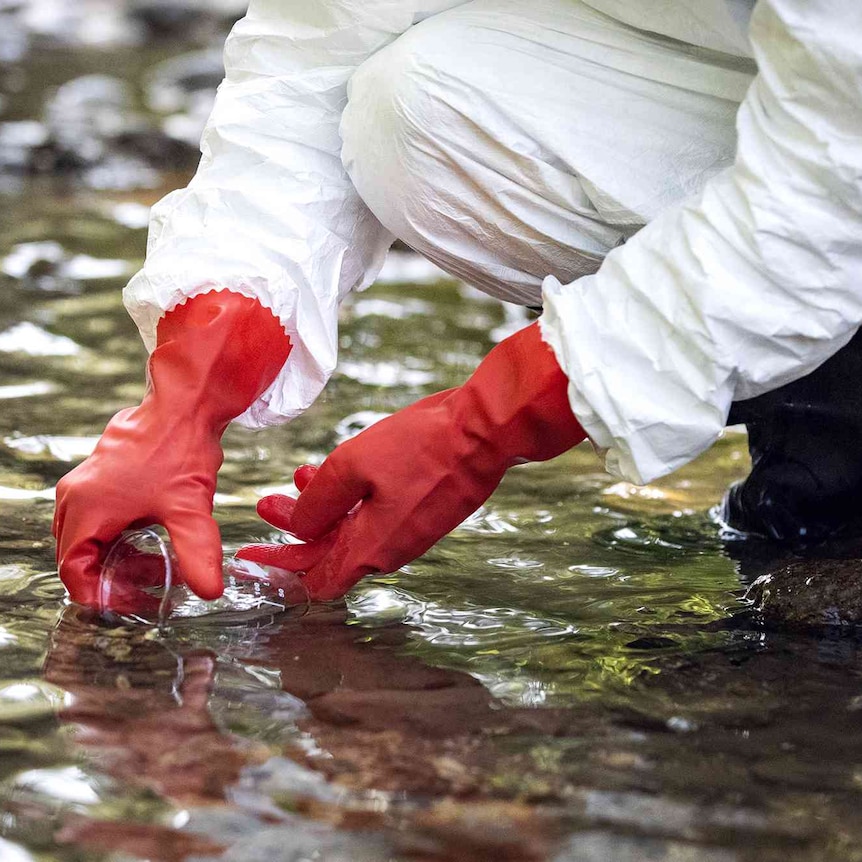 PFAS Contamination In Blue Mountains Reservoir: Public Health Concerns PFAS Contamination In Blue Mountains Reservoir: Public Health Concerns