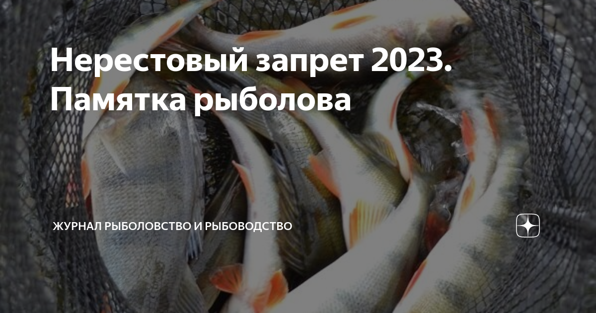 Погода В Перми И Пермском Крае В Конце Апреля 2025: Прогноз Похолодания И Снегопадов Погода В Перми И Пермском Крае В Конце Апреля 2025: Прогноз Похолодания И Снегопадов