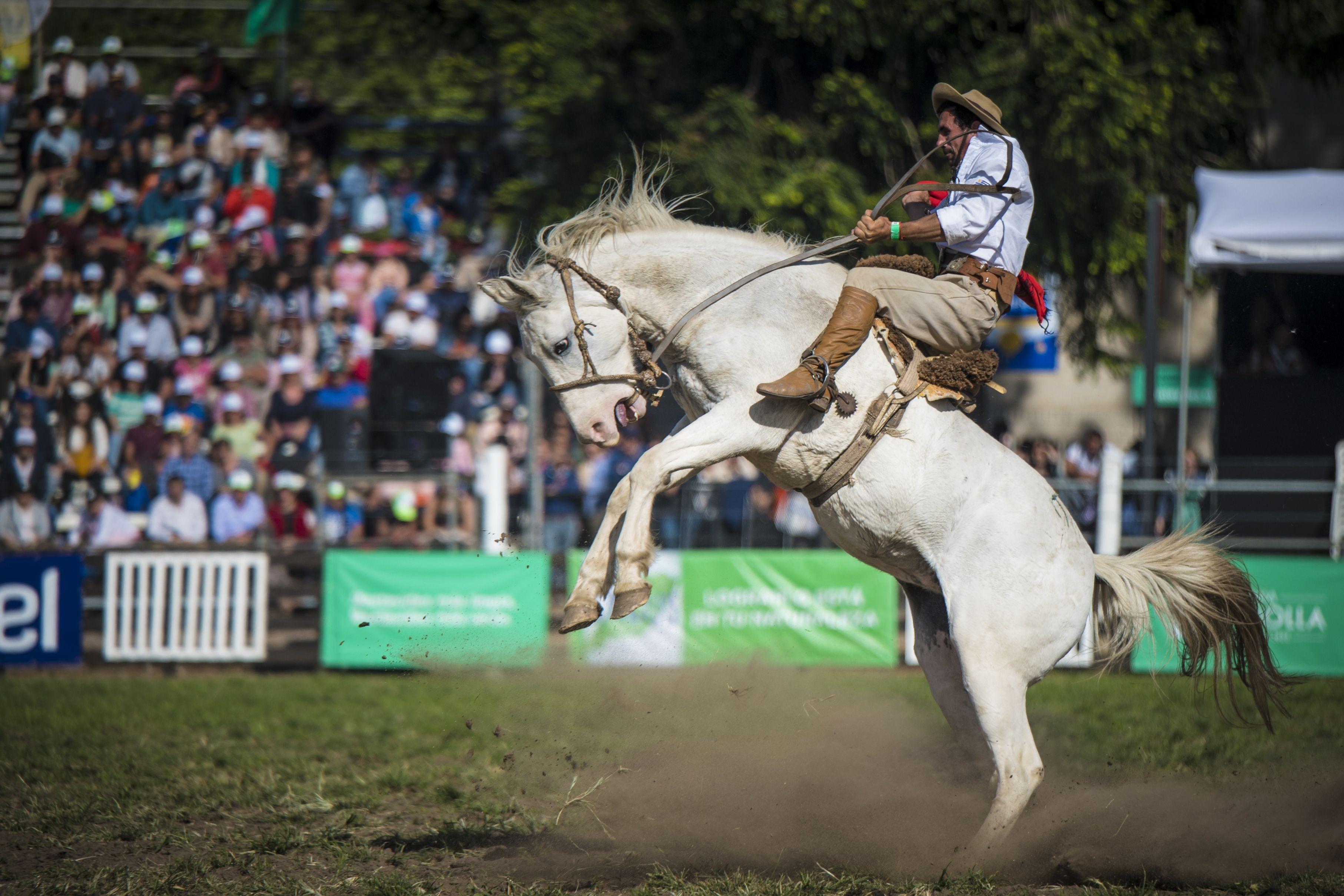 ¿Por Qué Se Llama Semana De Turismo En Uruguay? La Semana Santa Y La Laicidad Uruguaya. ¿Por Qué Se Llama Semana De Turismo En Uruguay? La Semana Santa Y La Laicidad Uruguaya.