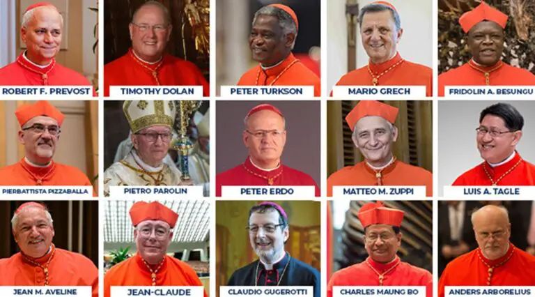 Possible Successors To Pope Francis: Examining Leading Contenders For The Papacy Possible Successors To Pope Francis: Examining Leading Contenders For The Papacy