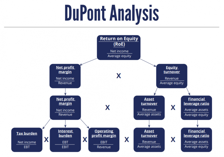 Post-Match Analysis: How Dupont Led France To Victory Over Italy