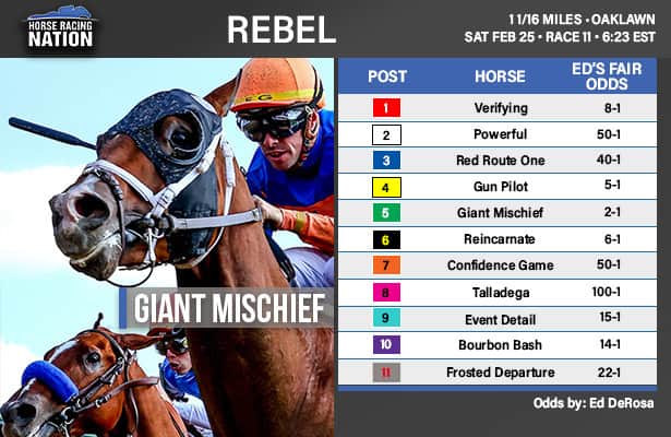 Predicting The 2025 Louisiana Derby: Odds, Field Analysis, And Kentucky Derby Prospects Predicting The 2025 Louisiana Derby: Odds, Field Analysis, And Kentucky Derby Prospects