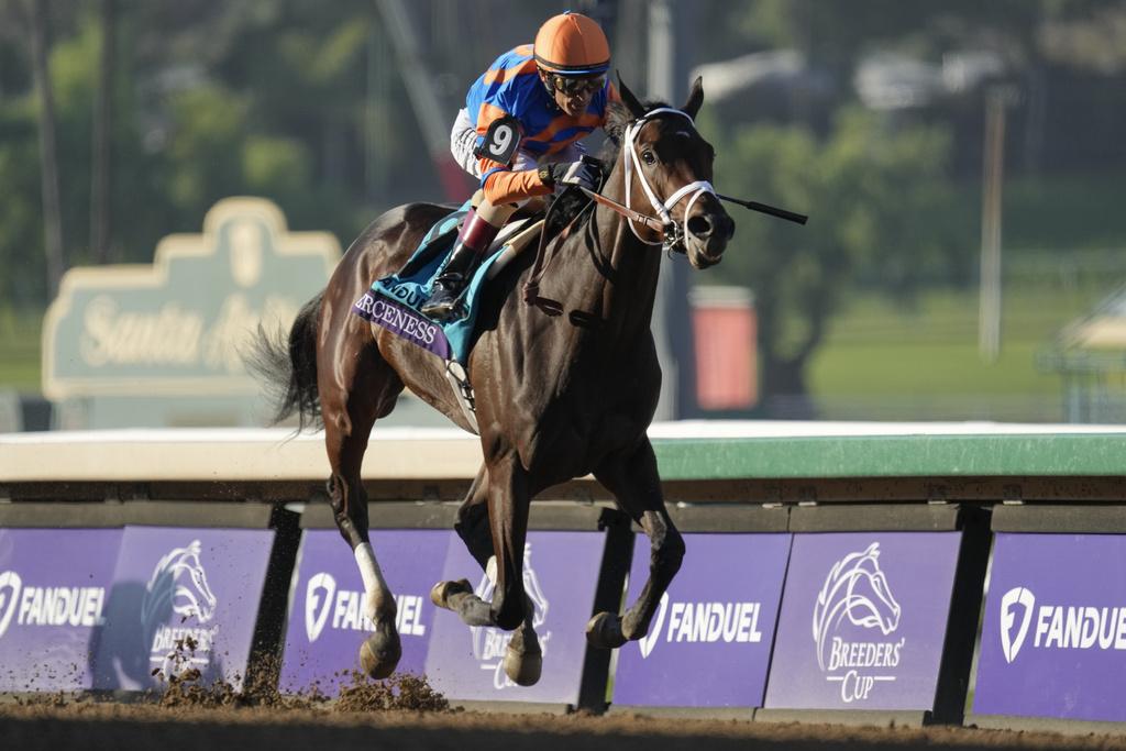 Predicting The 2025 Tampa Bay Derby: Odds, Horses, And Kentucky Derby Implications Predicting The 2025 Tampa Bay Derby: Odds, Horses, And Kentucky Derby Implications