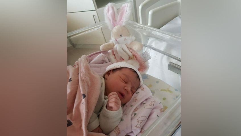 Premier Bébé De L'Année Gâté : Une Boulangerie Normande Offre Son Poids En Chocolat Premier Bébé De L'Année Gâté : Une Boulangerie Normande Offre Son Poids En Chocolat