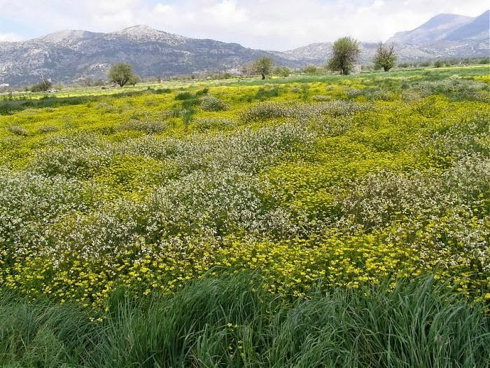 Πρωτομαγιά Στο Οροπέδιο Έβδομος: Ιδέες Για Εκδρομή Πρωτομαγιά Στο Οροπέδιο Έβδομος: Ιδέες Για Εκδρομή
