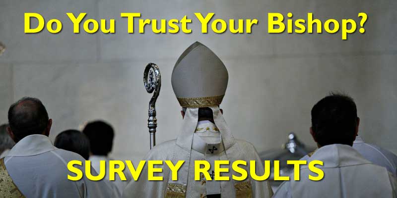 Public Confidence In SC Elections: 93% Express Trust In Survey Results Public Confidence In SC Elections: 93% Express Trust In Survey Results