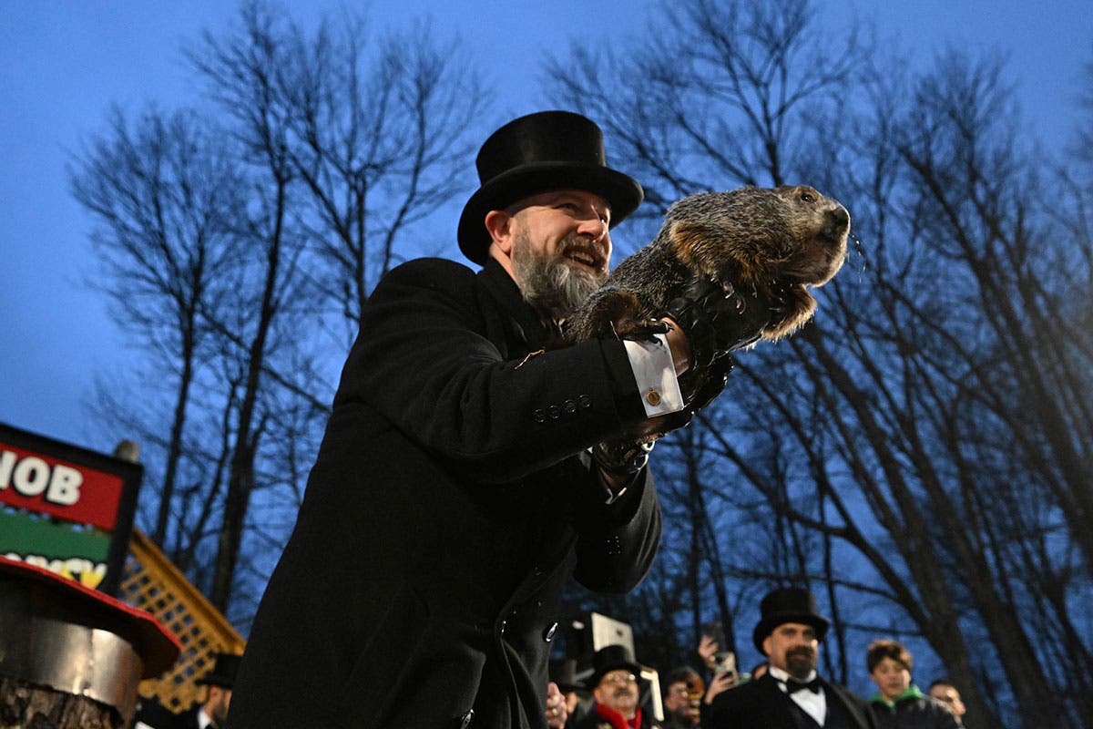 Punxsutawney Phil's Family Celebrates First Birthday Punxsutawney Phil's Family Celebrates First Birthday