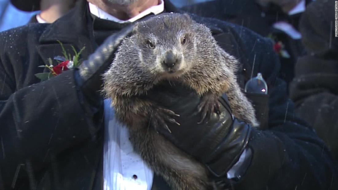 Punxsutawney Phil's Little One Turns One: A Birthday Celebration Punxsutawney Phil's Little One Turns One: A Birthday Celebration