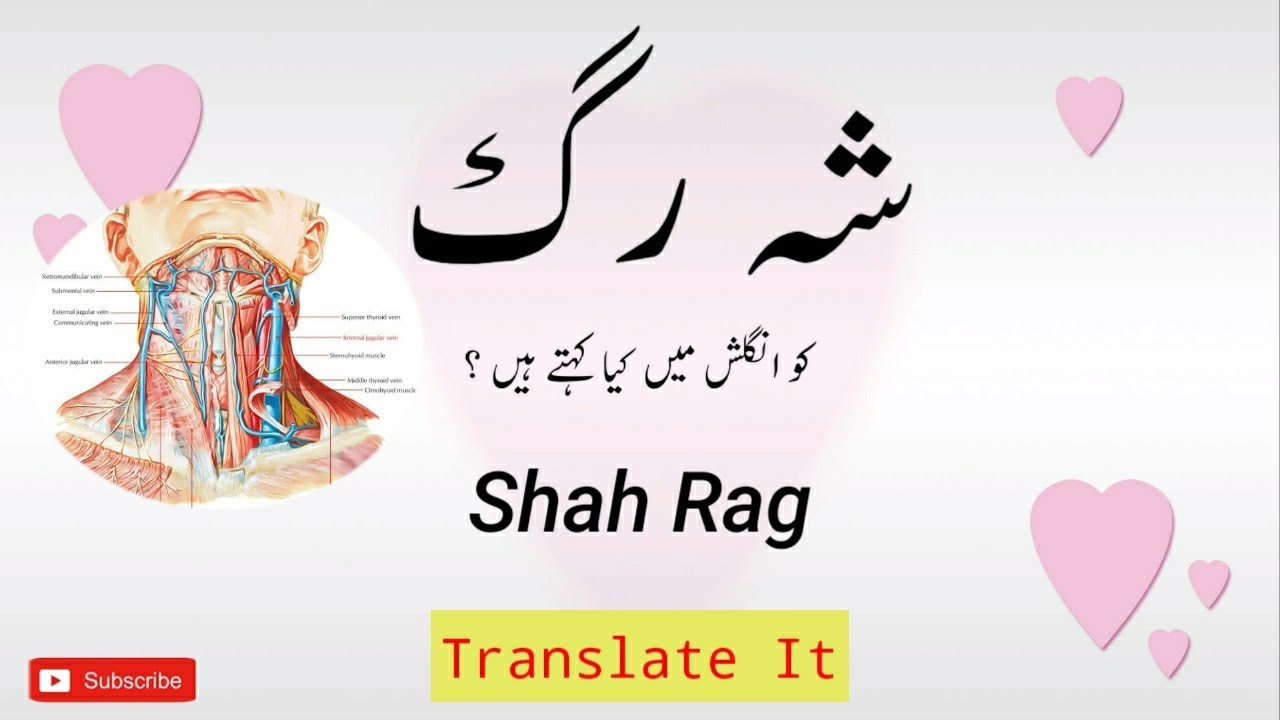 قومی شہ رگ: ایکسپریس اردو کا تشویش ناک جائزہ قومی شہ رگ: ایکسپریس اردو کا تشویش ناک جائزہ