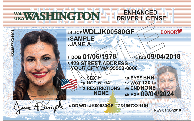 REAL ID Enforcement: Summer Travel Planning Guide REAL ID Enforcement: Summer Travel Planning Guide