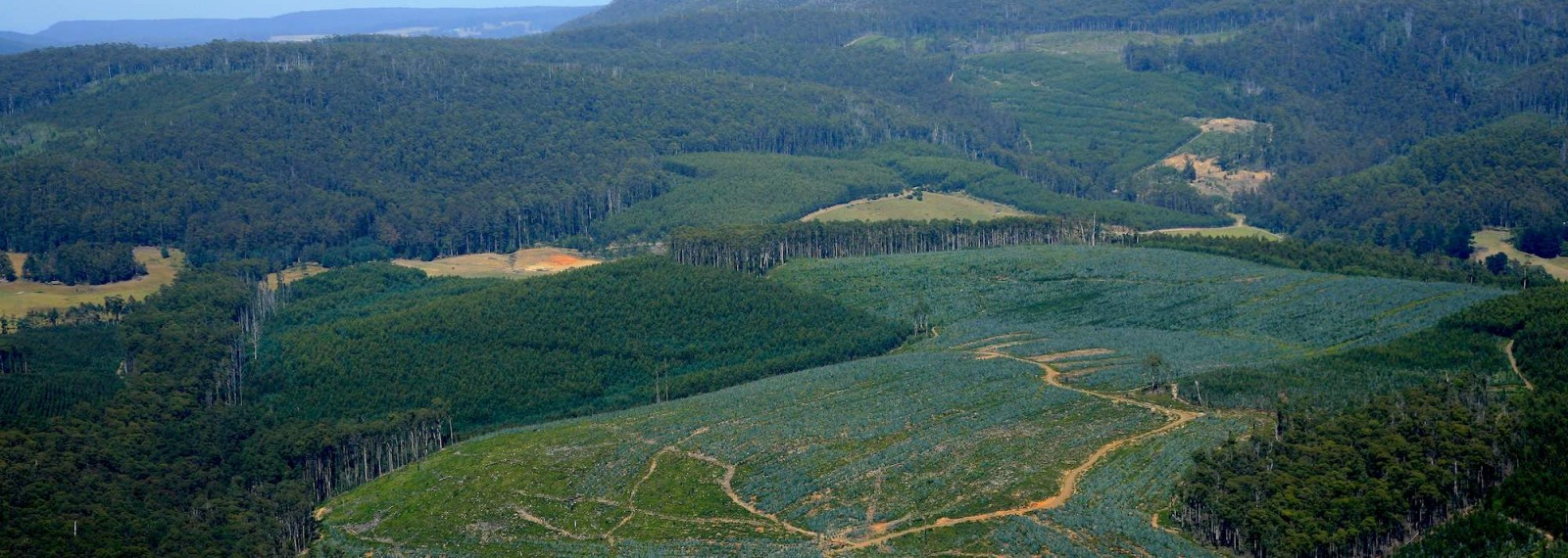 Realistic Road Management: A Truckie's Call To Tasman Council Realistic Road Management: A Truckie's Call To Tasman Council