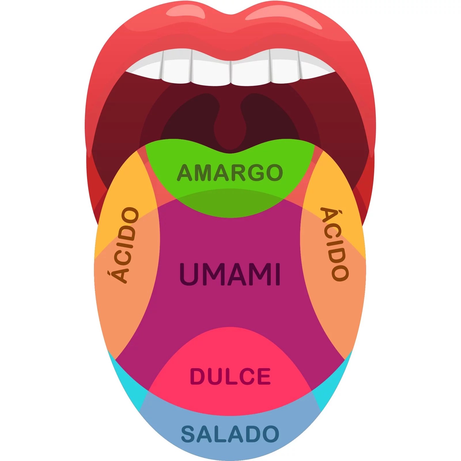 Receta Aragonesa De 3 Ingredientes: Un Sabor Del Siglo XIX Receta Aragonesa De 3 Ingredientes: Un Sabor Del Siglo XIX