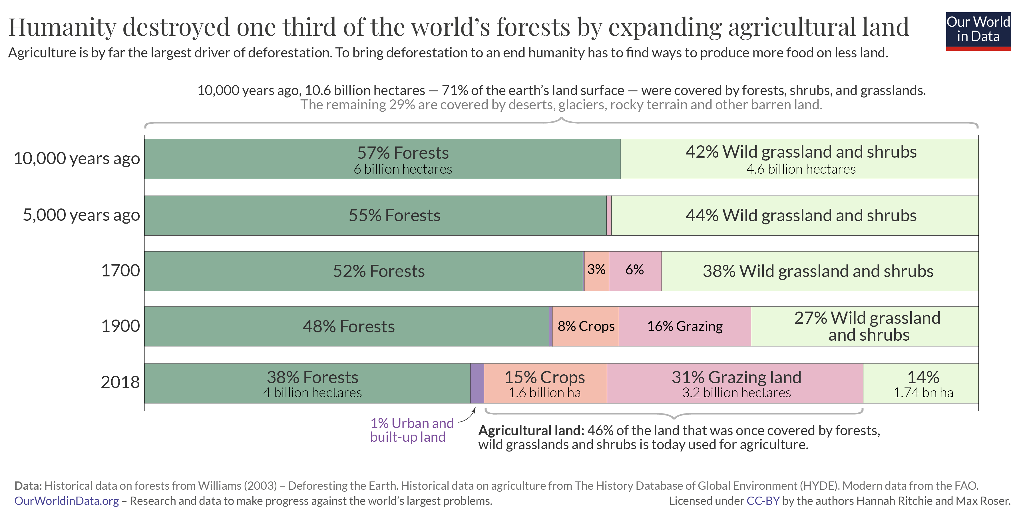 Record-Breaking Forest Loss: Wildfires Intensify Global Deforestation Record-Breaking Forest Loss: Wildfires Intensify Global Deforestation