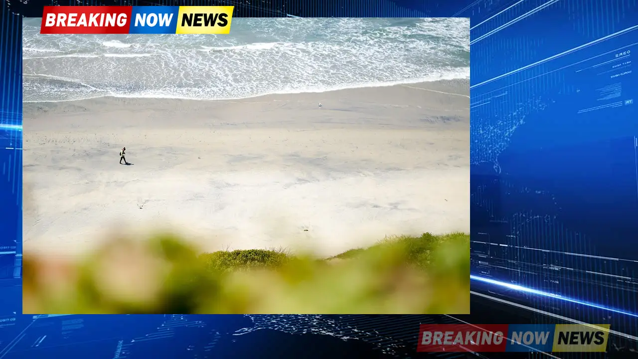 Red Tide Emergency On Cape Cod: Beach Closures And Advisories Red Tide Emergency On Cape Cod: Beach Closures And Advisories