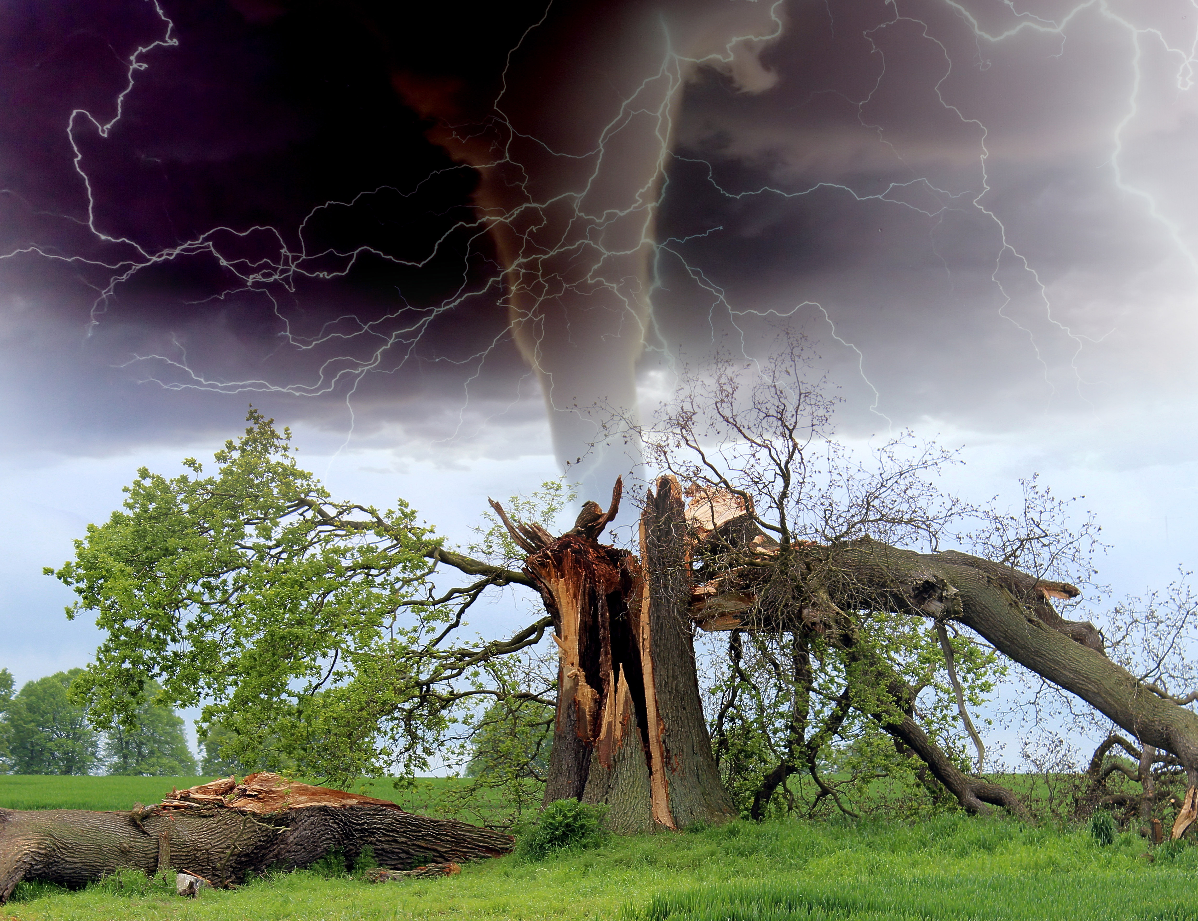 Reflecting On The 2012 Louisville Tornado: Impacts And Long-Term Effects Reflecting On The 2012 Louisville Tornado: Impacts And Long-Term Effects