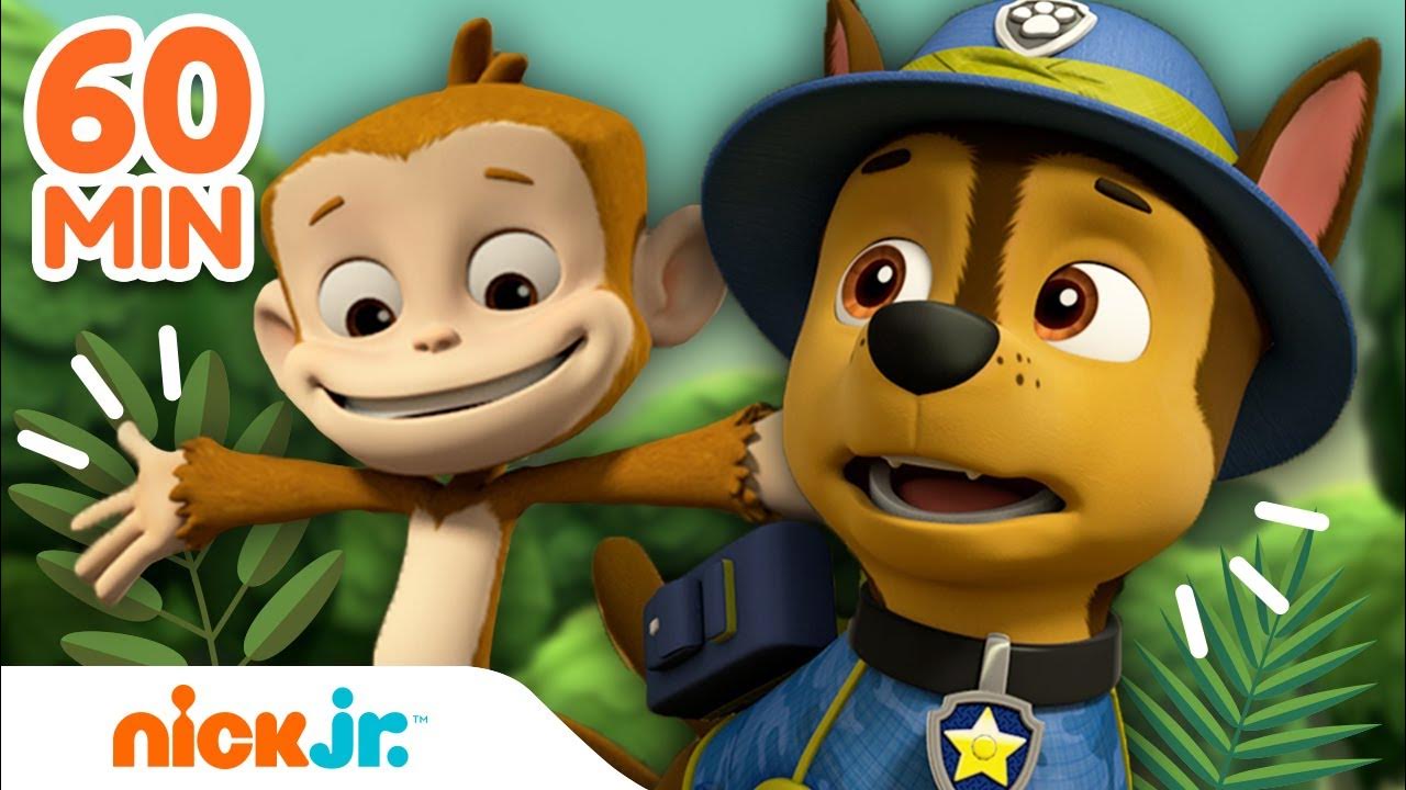 Rescates De Paw Patrol Piratas (Español): 15 Minutos En YouTube Rescates De Paw Patrol Piratas (Español): 15 Minutos En YouTube