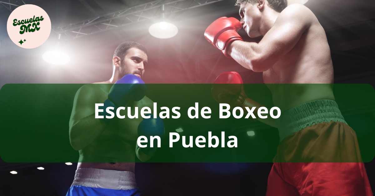Reserva Tu Lugar: Clases De Boxeo Edomex (Inscripción En 3 Días) Reserva Tu Lugar: Clases De Boxeo Edomex (Inscripción En 3 Días)