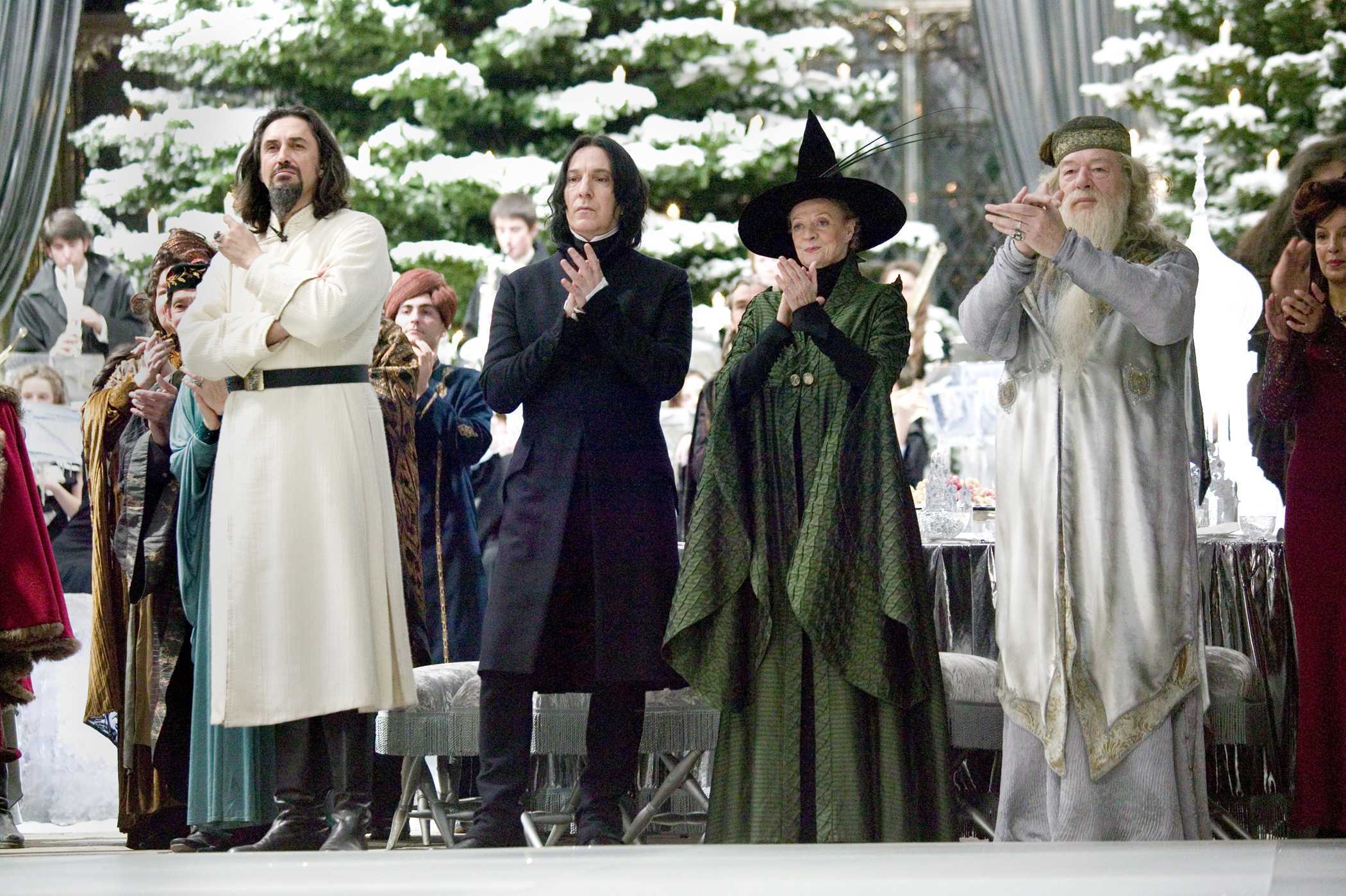 Revealed: The Cast Of The Harry Potter TV Series - Dumbledore, Snape, Hagrid & McGonagall Revealed: The Cast Of The Harry Potter TV Series - Dumbledore, Snape, Hagrid & McGonagall