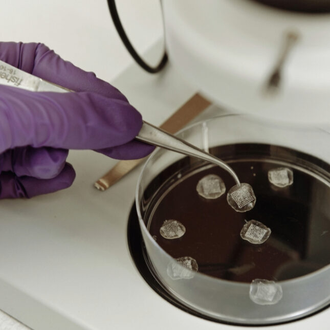 Revolutionizing Gene Therapy: Improved Accuracy With New CRISPR Modifications Revolutionizing Gene Therapy: Improved Accuracy With New CRISPR Modifications
