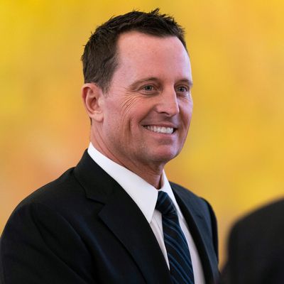 Richard Grenell's Appointment To Live Nation Board: Public Reaction Richard Grenell's Appointment To Live Nation Board: Public Reaction