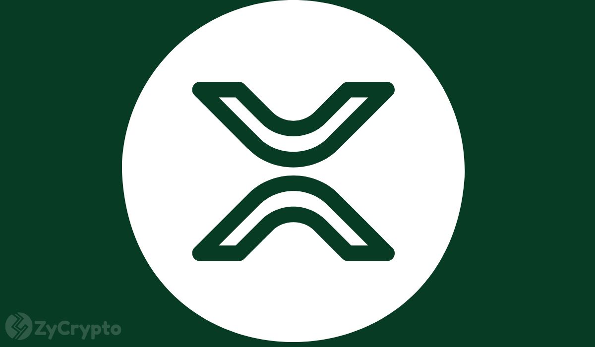 Ripple's XRP Price Increase: The Potential Trump Connection. Ripple's XRP Price Increase: The Potential Trump Connection.