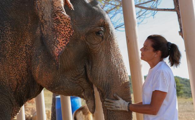 Roc Agel: El Refugio De Charlene Wittstock En Mónaco