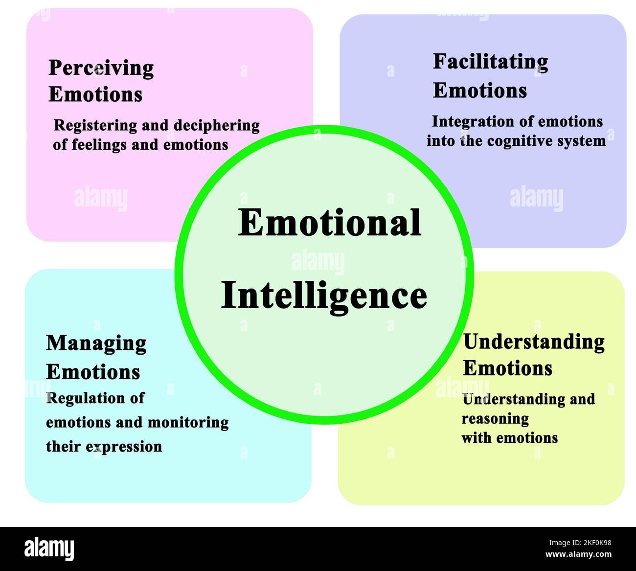 Rocky's Emotional Core: Stallone's Favorite Film Rocky's Emotional Core: Stallone's Favorite Film