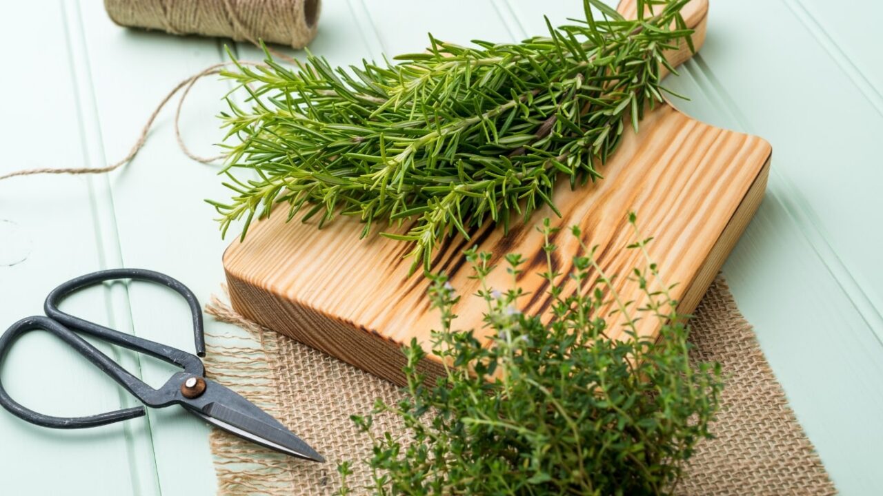 Rosemary & Thyme: A Comprehensive Guide Rosemary & Thyme: A Comprehensive Guide