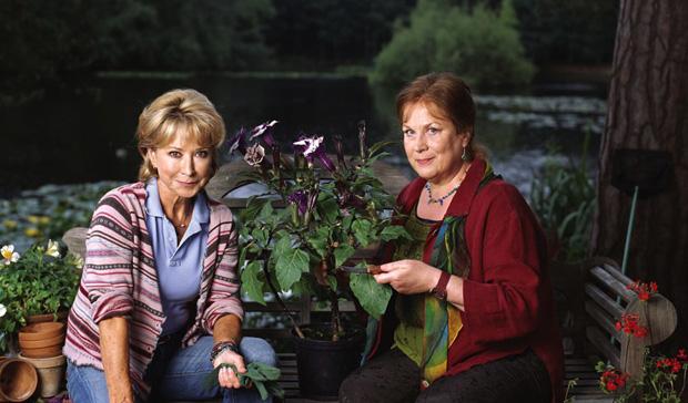 Rosemary & Thyme: A Guide For Home Gardeners