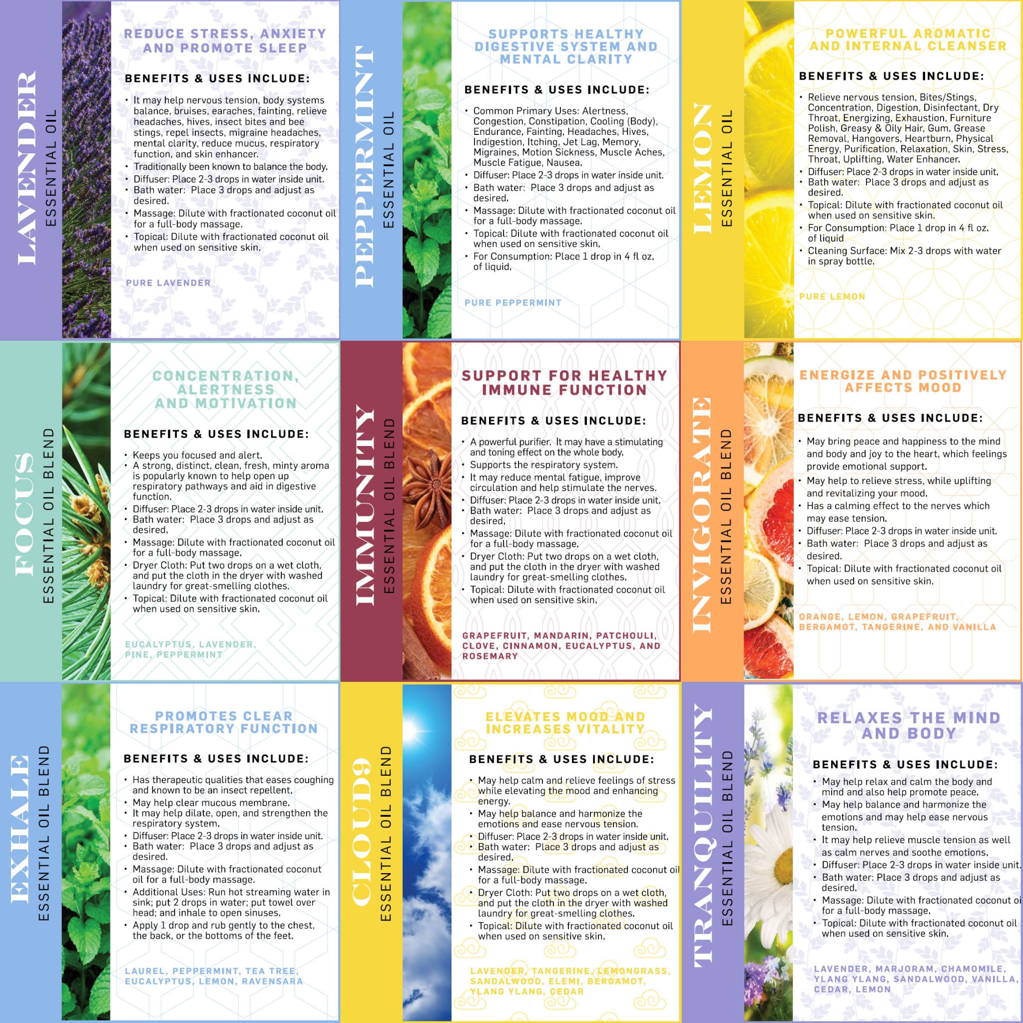 Rosemary & Thyme Essential Oils: Properties And Uses Rosemary & Thyme Essential Oils: Properties And Uses
