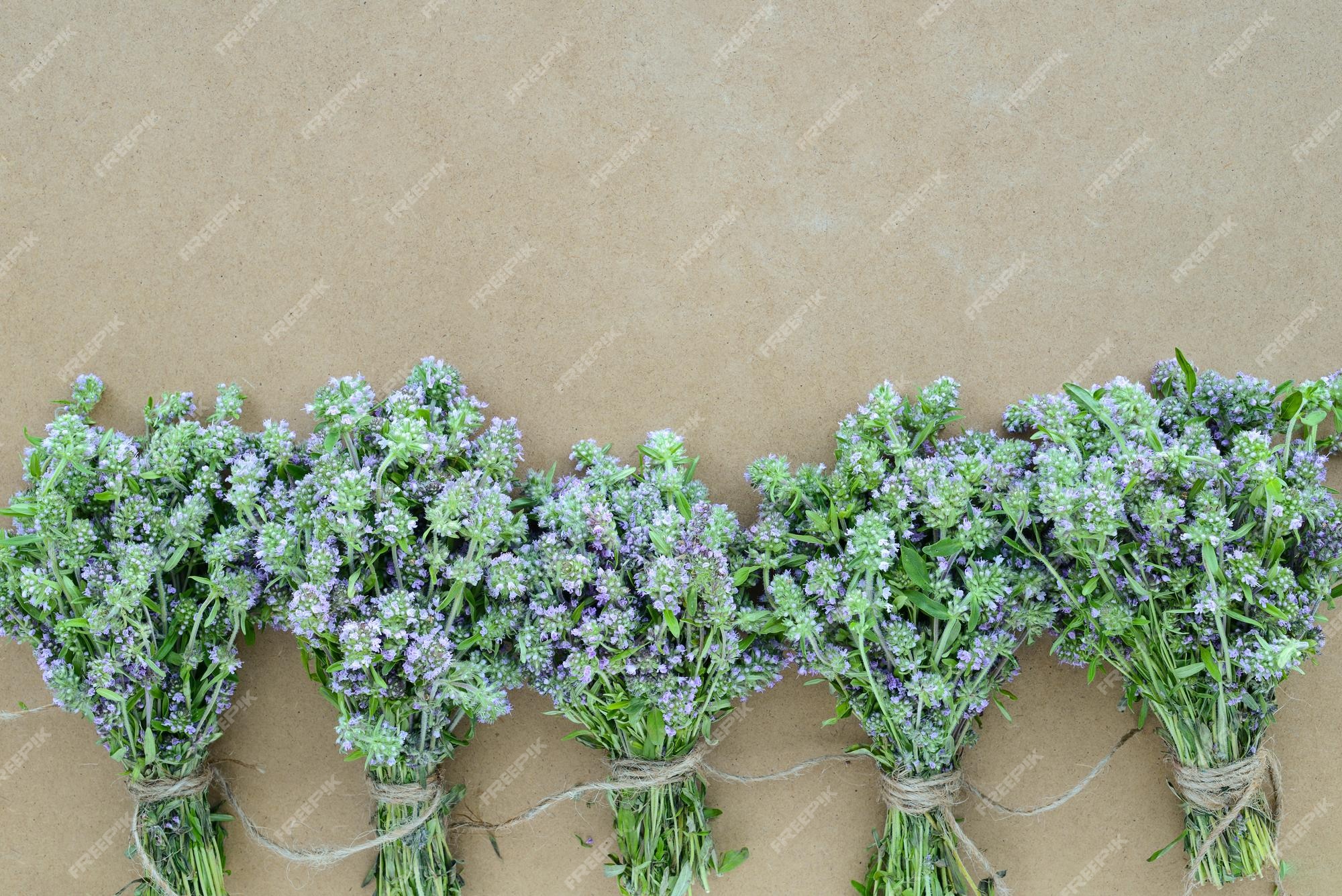 Rosemary & Thyme: Growing, Harvesting, And Using These Herbs Rosemary & Thyme: Growing, Harvesting, And Using These Herbs