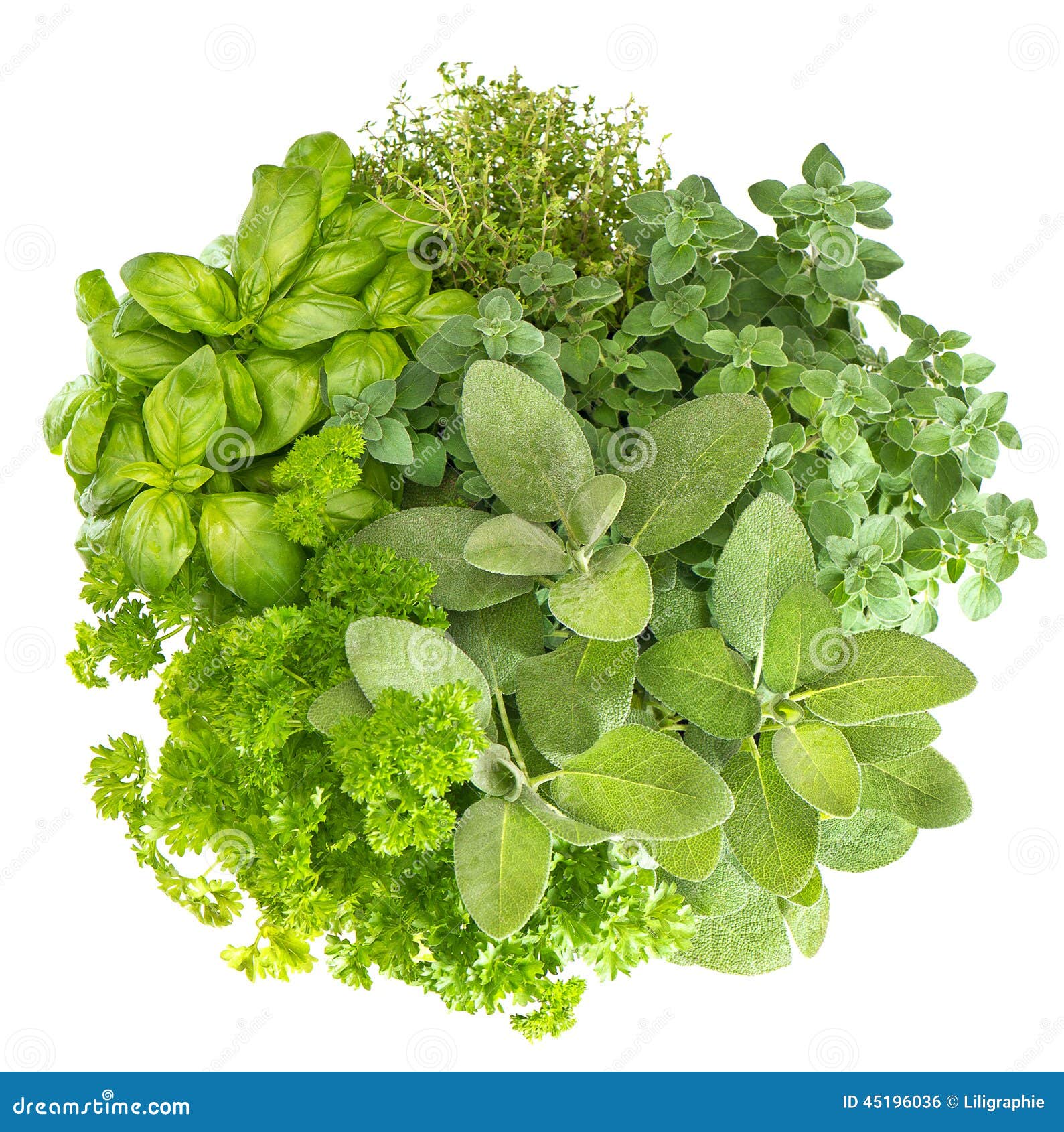 Rosemary & Thyme Recipes: Simple Dishes With Fresh Herbs Rosemary & Thyme Recipes: Simple Dishes With Fresh Herbs