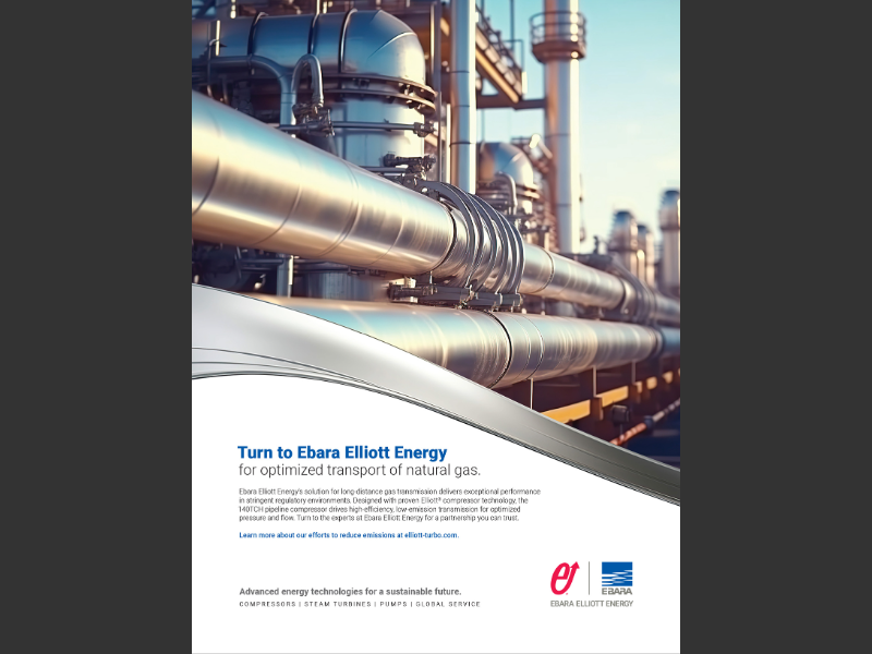 Russian Gas Pipeline: Elliott's Exclusive Investment Strategy Russian Gas Pipeline: Elliott's Exclusive Investment Strategy