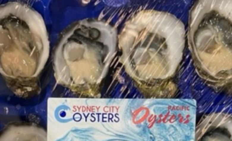 Safety First: Walmart Issues Urgent Recall For ORVs, Oysters, And Electric Scooters Safety First: Walmart Issues Urgent Recall For ORVs, Oysters, And Electric Scooters