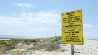 San Diego County Beaches: Best Spots For A Weekend Escape San Diego County Beaches: Best Spots For A Weekend Escape