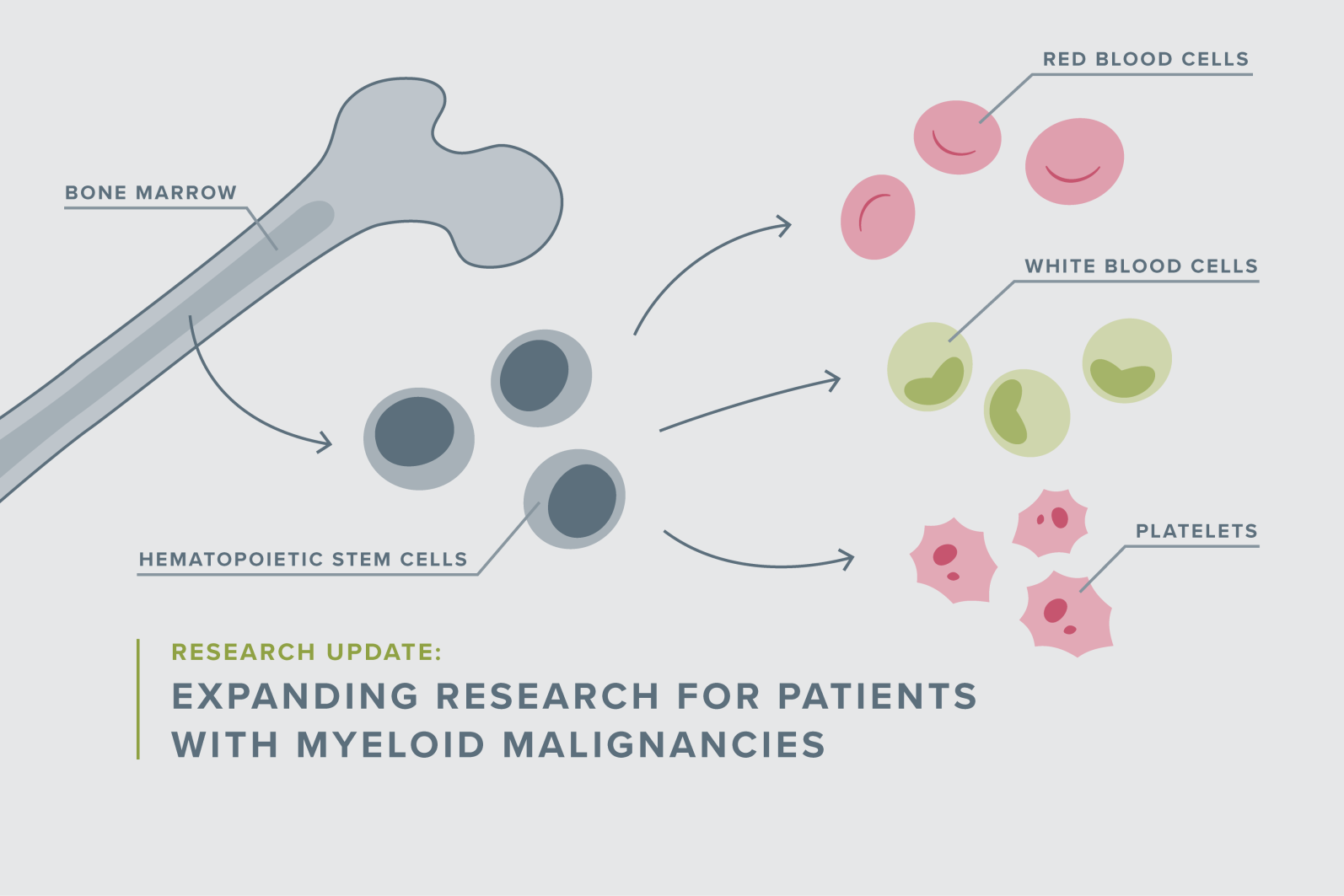 Sanofi Acquires Dren Bio's Myeloid Cell Engager: Expanding Immunology Portfolio Sanofi Acquires Dren Bio's Myeloid Cell Engager: Expanding Immunology Portfolio