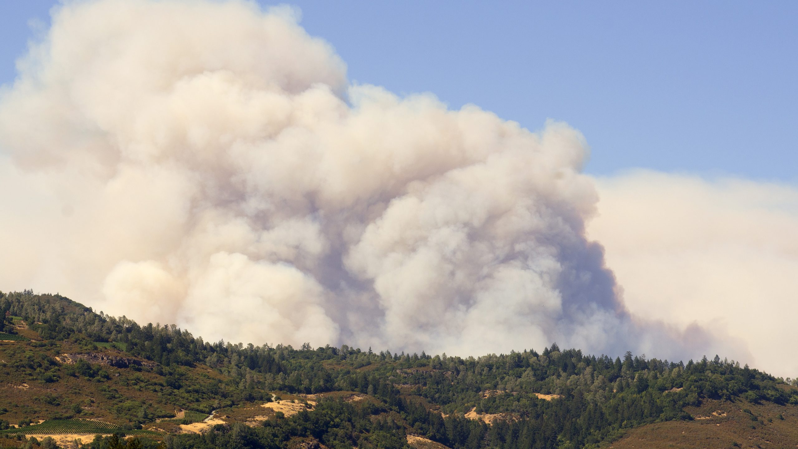 Saskatchewan Wildfires: Rising Temperatures Increase Fire Danger Saskatchewan Wildfires: Rising Temperatures Increase Fire Danger