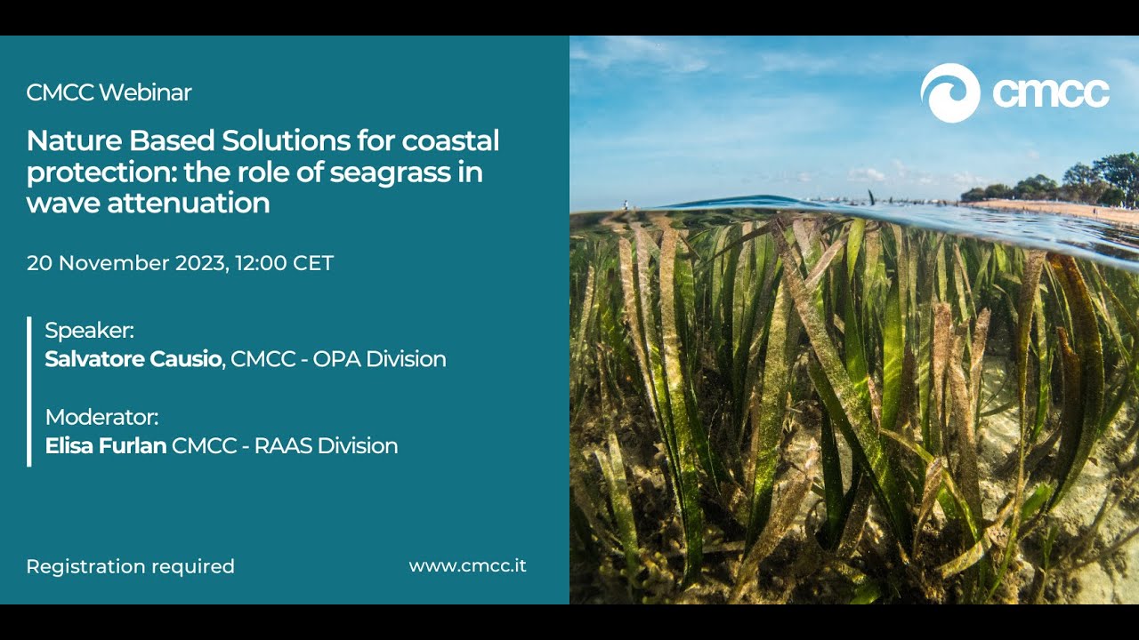 Scotland's Coastal Regeneration: The Role Of Seagrass Planting Scotland's Coastal Regeneration: The Role Of Seagrass Planting