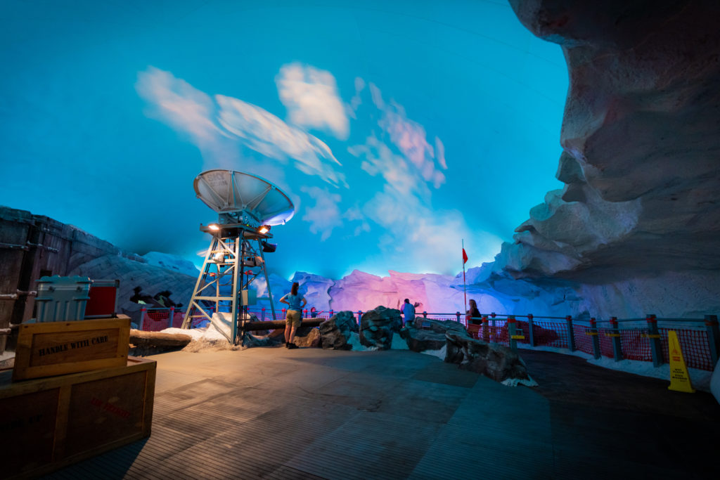 SeaWorld Orlando: Explore The Arctic With Expedition Odyssey SeaWorld Orlando: Explore The Arctic With Expedition Odyssey