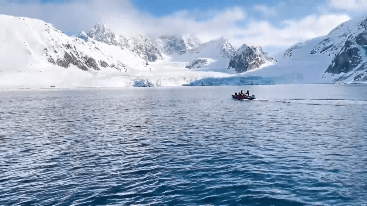 SeaWorld Orlando's Expedition Odyssey: Discover The Wonders Of The Arctic SeaWorld Orlando's Expedition Odyssey: Discover The Wonders Of The Arctic