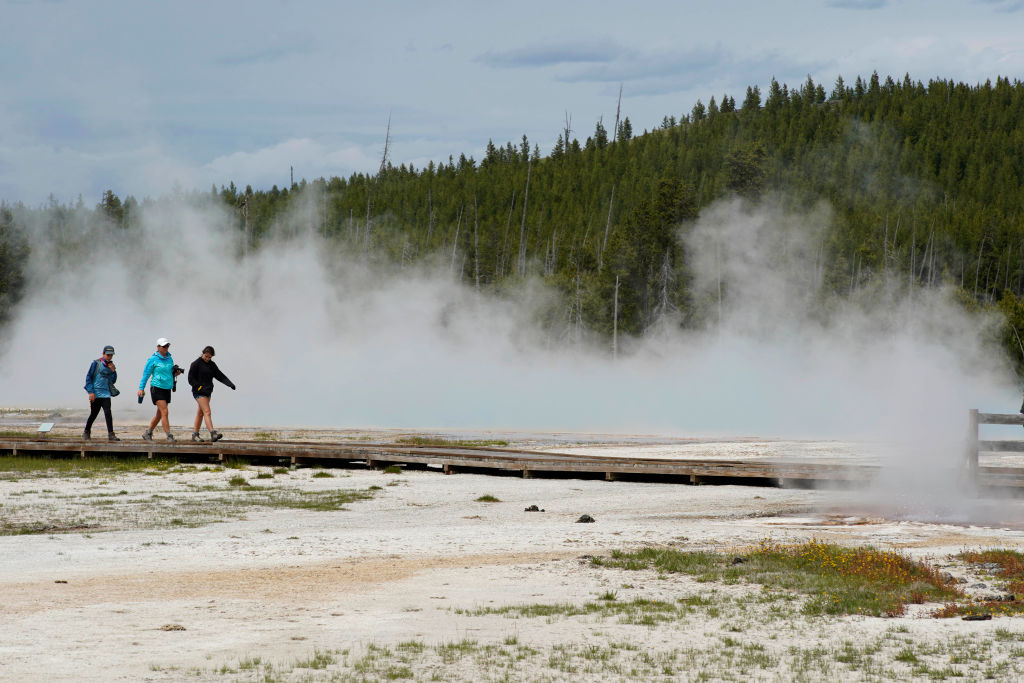 Seven Fatalities Reported Near Yellowstone Following Vehicle Collision Seven Fatalities Reported Near Yellowstone Following Vehicle Collision