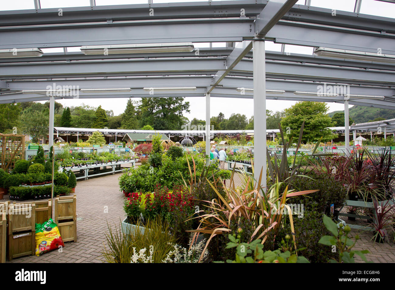 Shoplifting At Hayes Garden World: Ambleside Couple's £300 Heist Shoplifting At Hayes Garden World: Ambleside Couple's £300 Heist