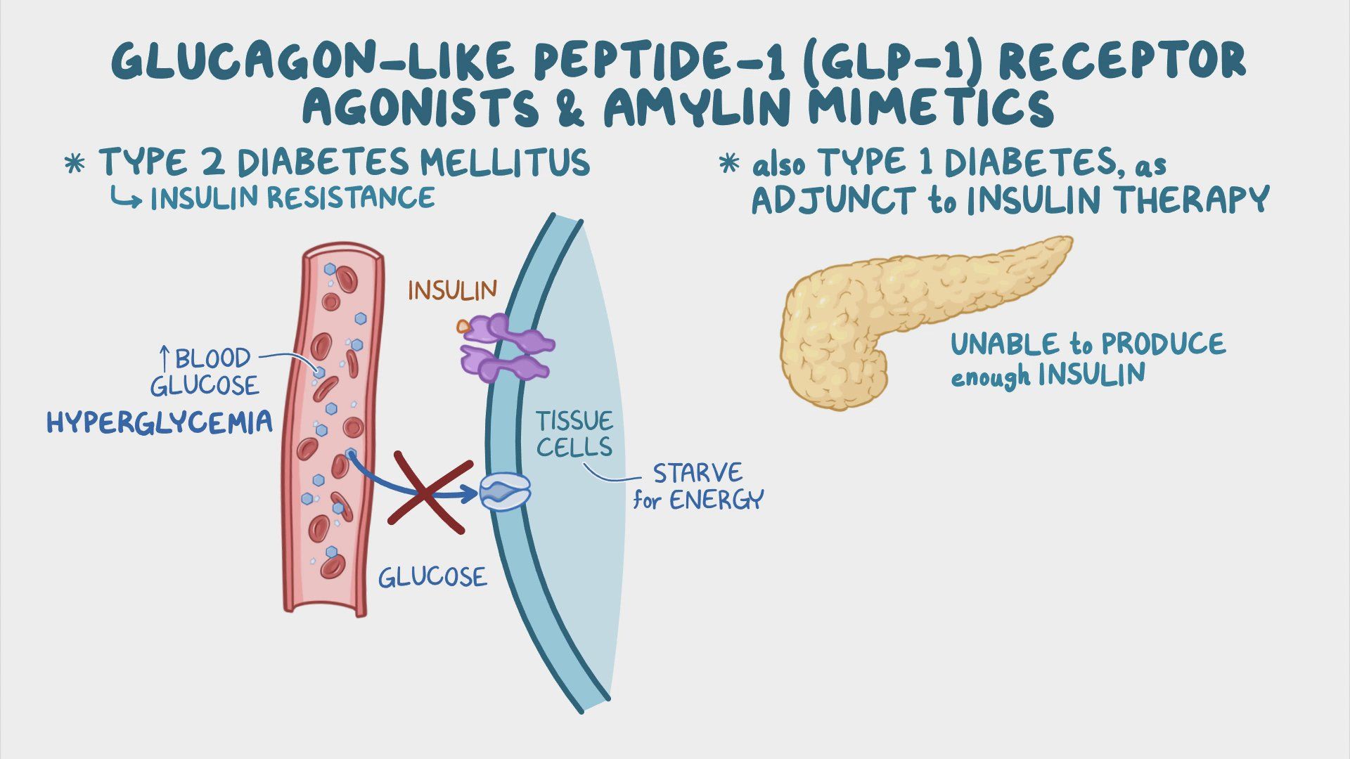Should You Consider GLP-1 Medications? Weighing The Benefits And Risks Should You Consider GLP-1 Medications? Weighing The Benefits And Risks