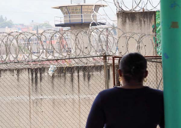 Siete Nuevos Vehículos Para El Sistema Penitenciario: Modernización De La Flota Siete Nuevos Vehículos Para El Sistema Penitenciario: Modernización De La Flota