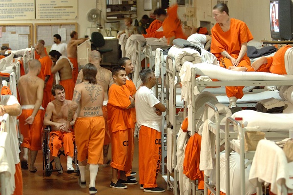 Siete Nuevos Vehículos Para El Sistema Penitenciario Siete Nuevos Vehículos Para El Sistema Penitenciario