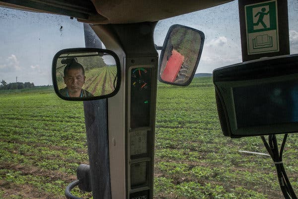 Sinograin Auctions Imported Soybeans To Combat China's Supply Crunch Sinograin Auctions Imported Soybeans To Combat China's Supply Crunch